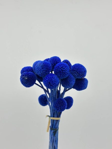 product_c02ce67b1c0830d255824ae65fd280ab