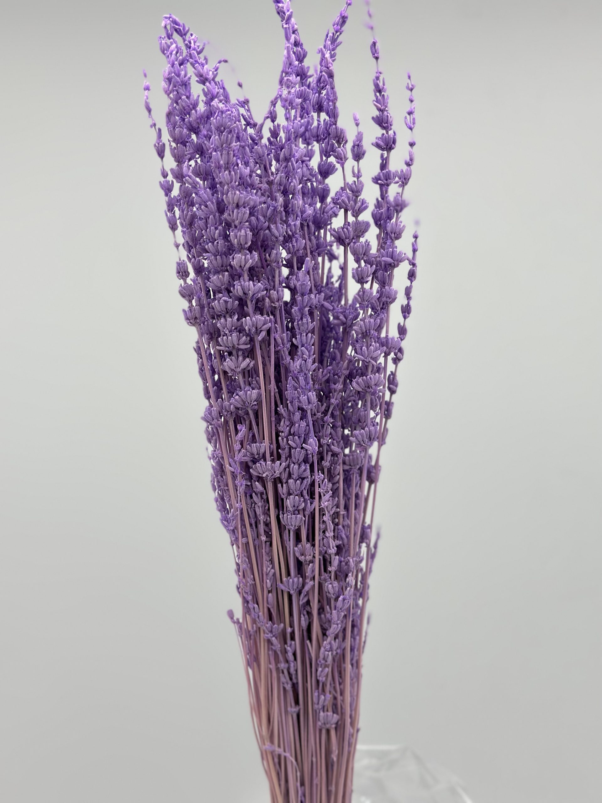 product_c46454819a752af223357df392d20c1a