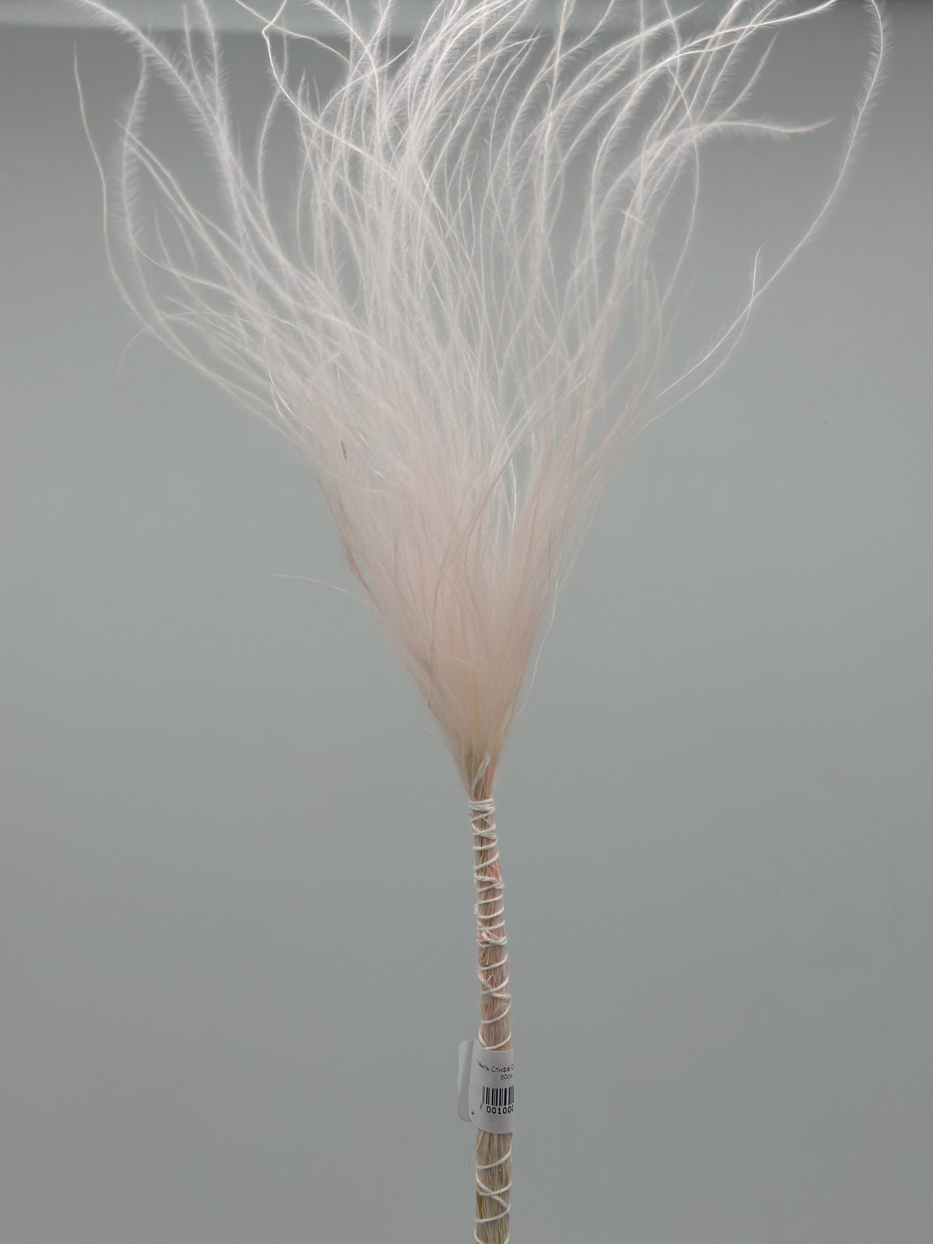 product_c84fa2a6080510110e902d0de0c00bac