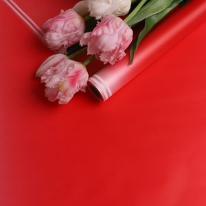 Пленка матовая 50мкм 58см х 10м прозрачный кант красный