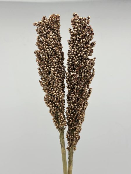 product_f3bd5b79e3ede8cb8a7a4f76222f3003