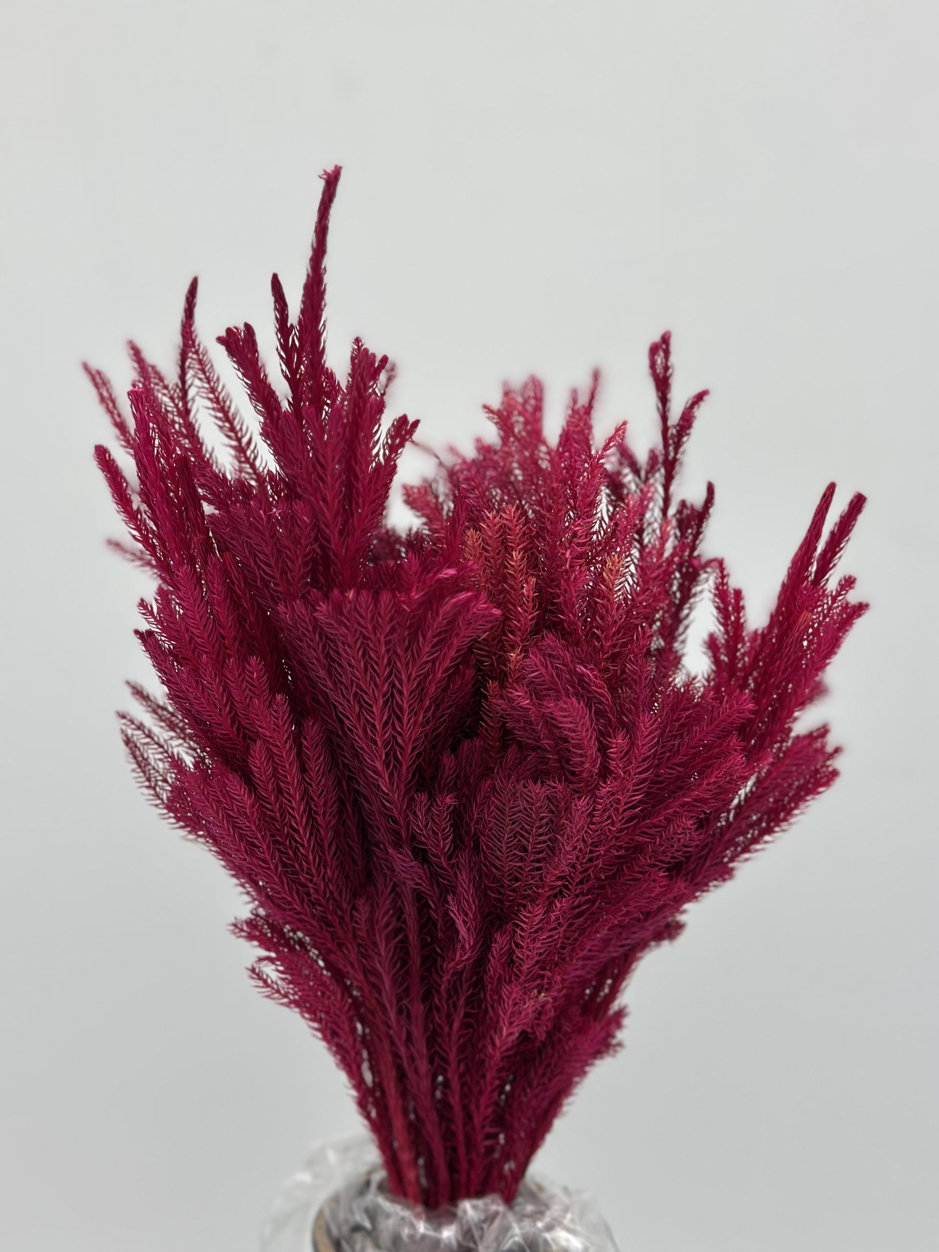 product_f99505f462abd6d966c42c3aace48a51