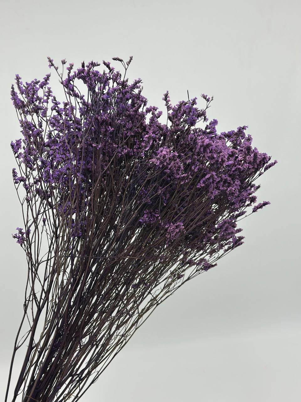 product_fb17031c50f2f8a3f3f850df5ec3f7c1