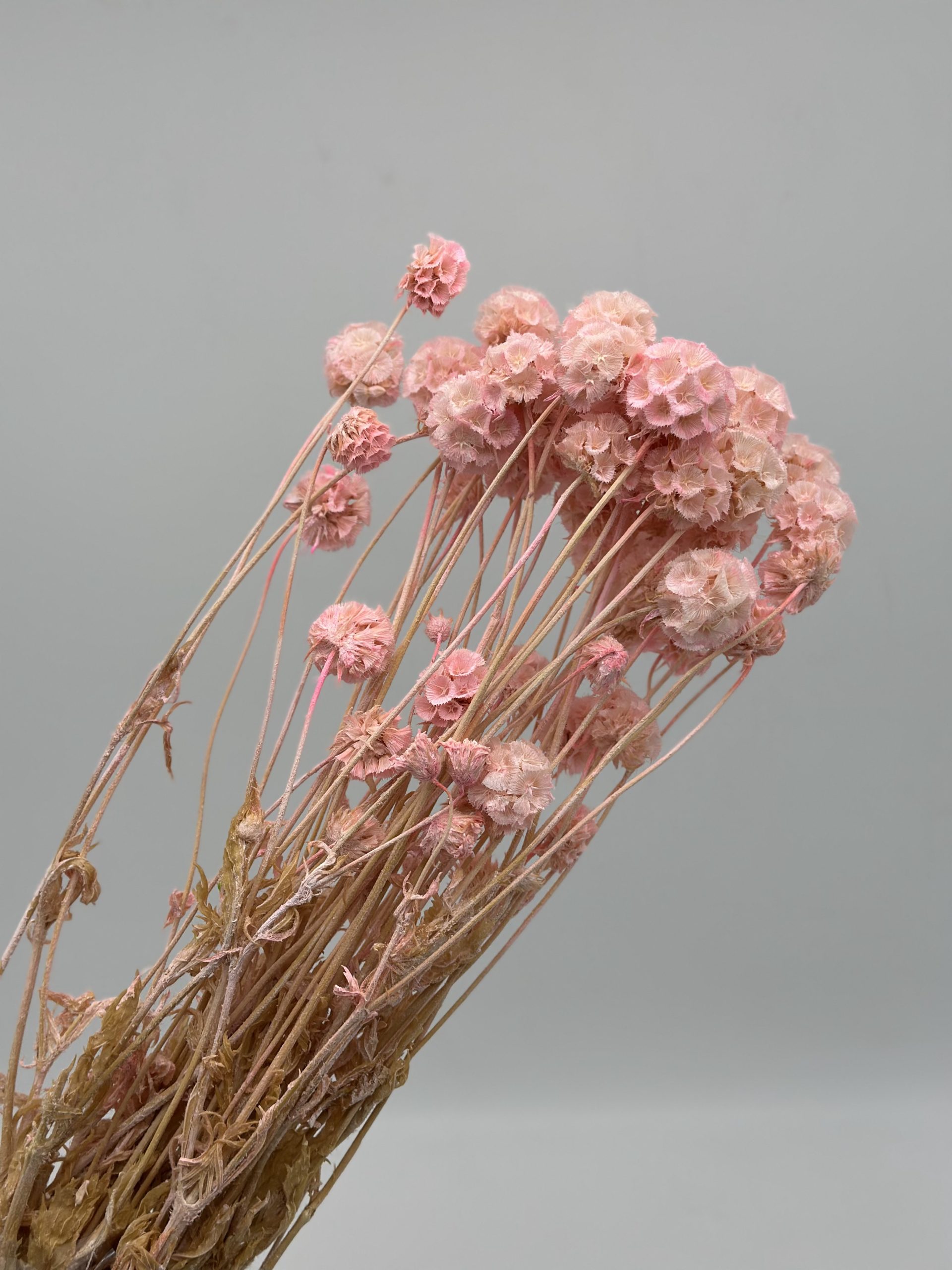 product_fdae6fb09f23c2e9075c18e6eb81810f