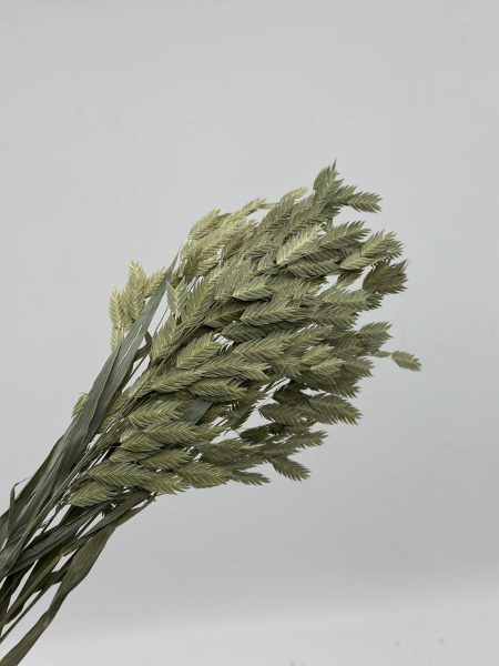 product_fddb5961bc3b0cb7d2b235f3da9d65f6