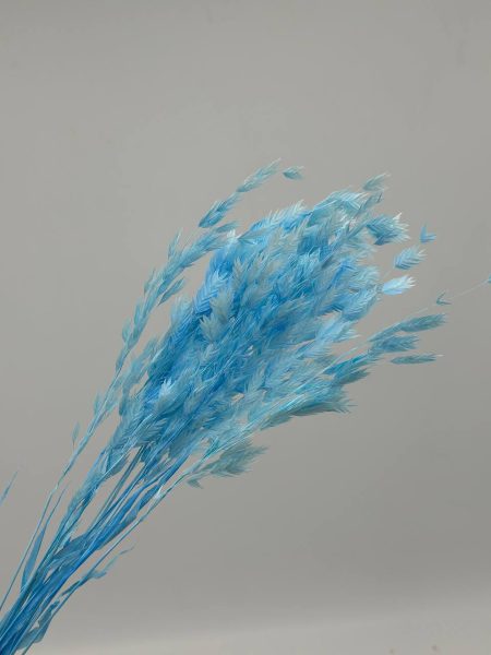 product_fe7de2d6f70de3ebb81e756cb3da456d