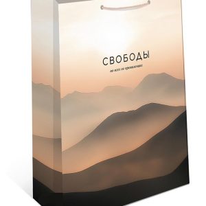 Пакет подарочный Свободы во всех ее проявлениях 18*22,3*10см Арт т.м. 6
